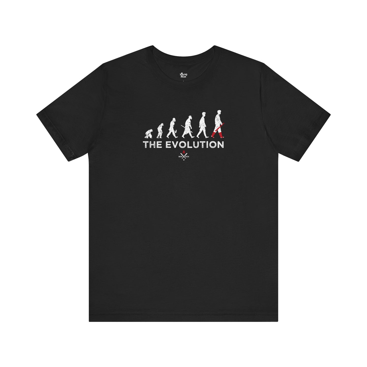 Boston Baseball Fan | The Evolution