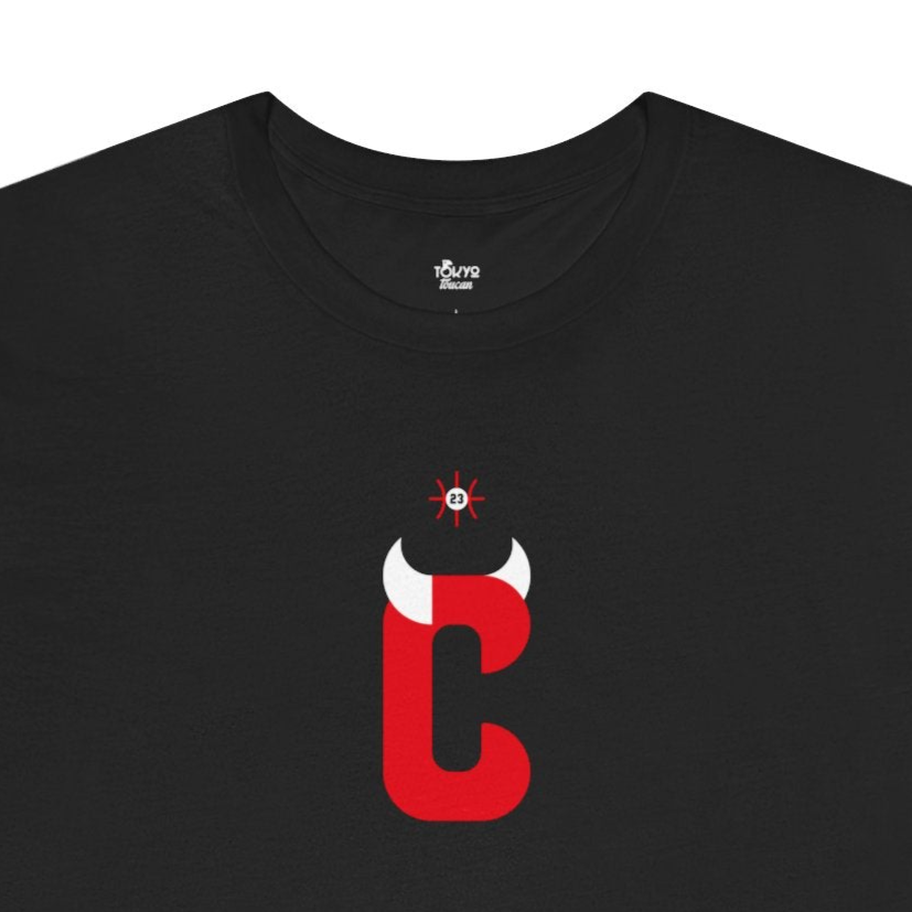 Chicago Basketball Fan | C