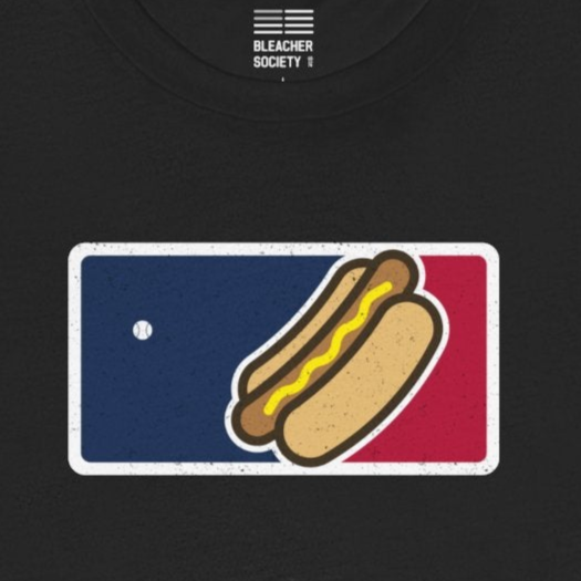 US Baseball Fan | I just love this game | Hot dog