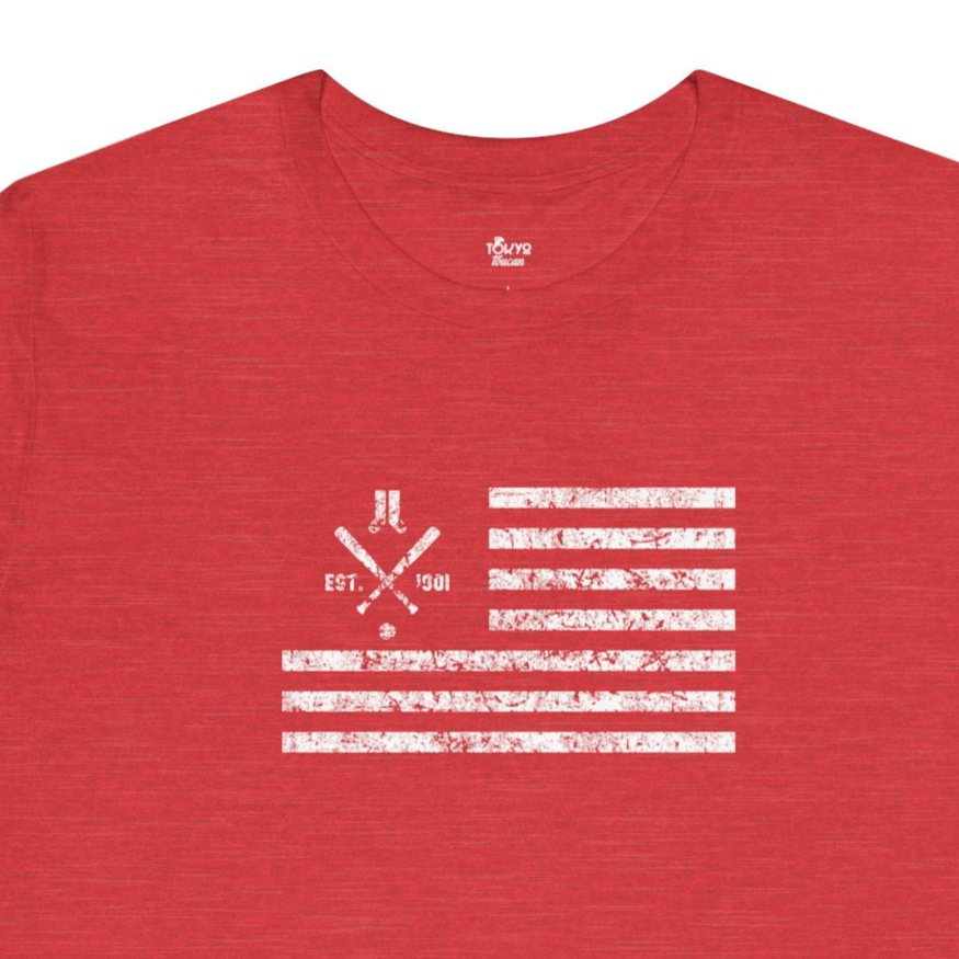 Boston Baseball Fan | US Flag