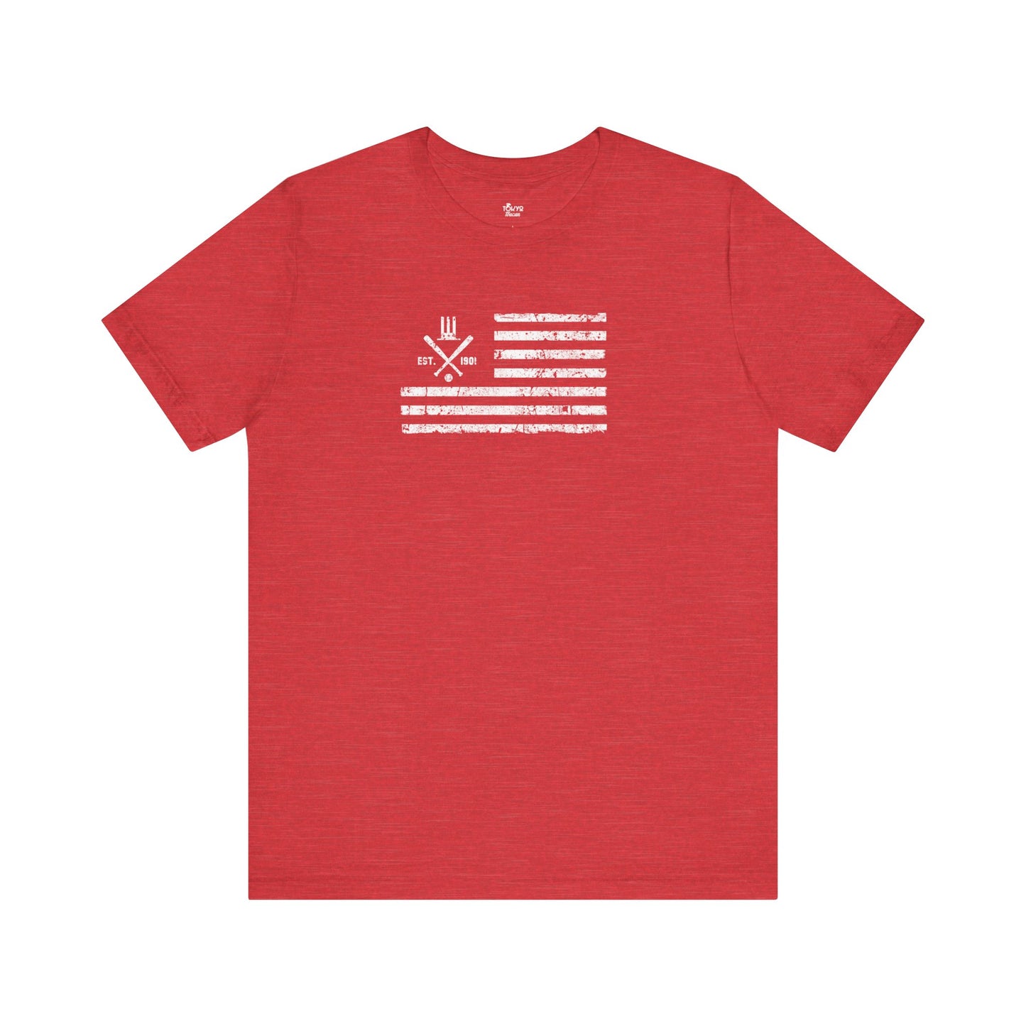 New York Baseball Fan | US flag
