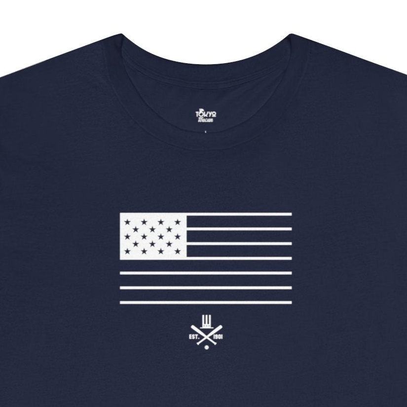 New York Baseball Fan | American Stripes