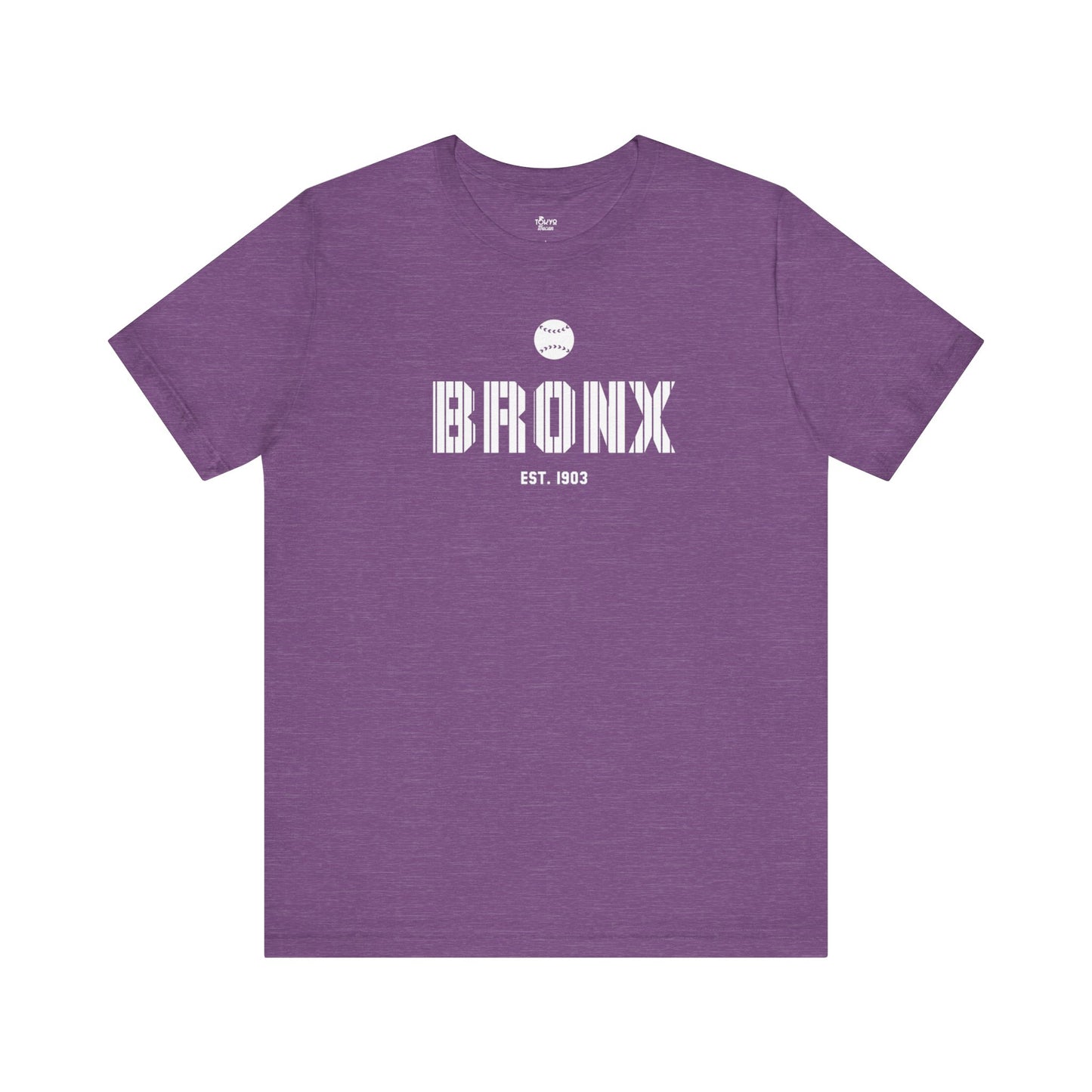 Bronx Baseball Fan