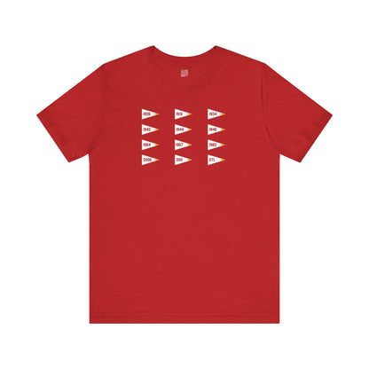 St Louis Baseball Fan | Flags