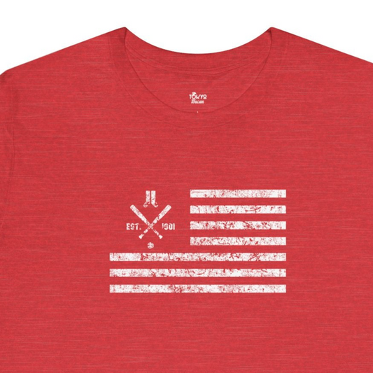 Boston Baseball Fan | US Flag