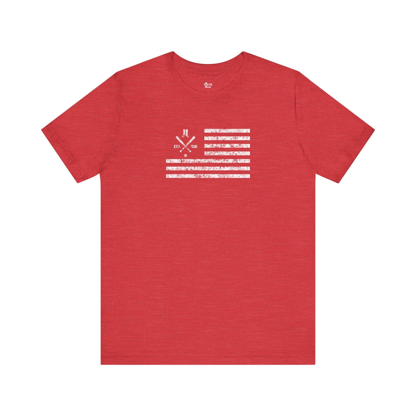 Boston Baseball Fan | US Flag