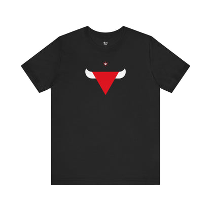 Chicago Basketall Fan | Bull