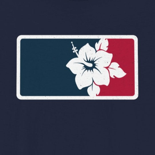 US Baseball Fan | I just love this game | Summer