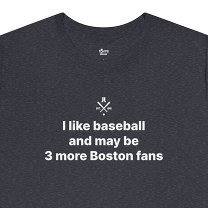 Boston Baseball Fan | 3 More Fans