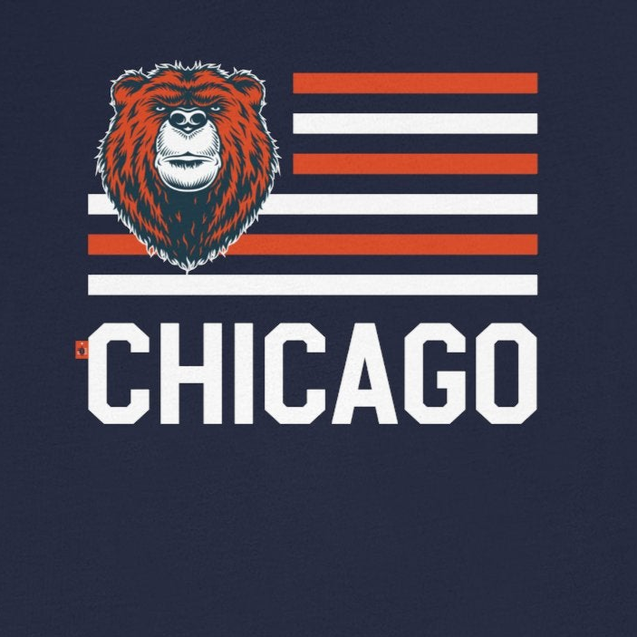 Navy blue t-shirt with a graphic of a bear and horizontal stripes on a white background