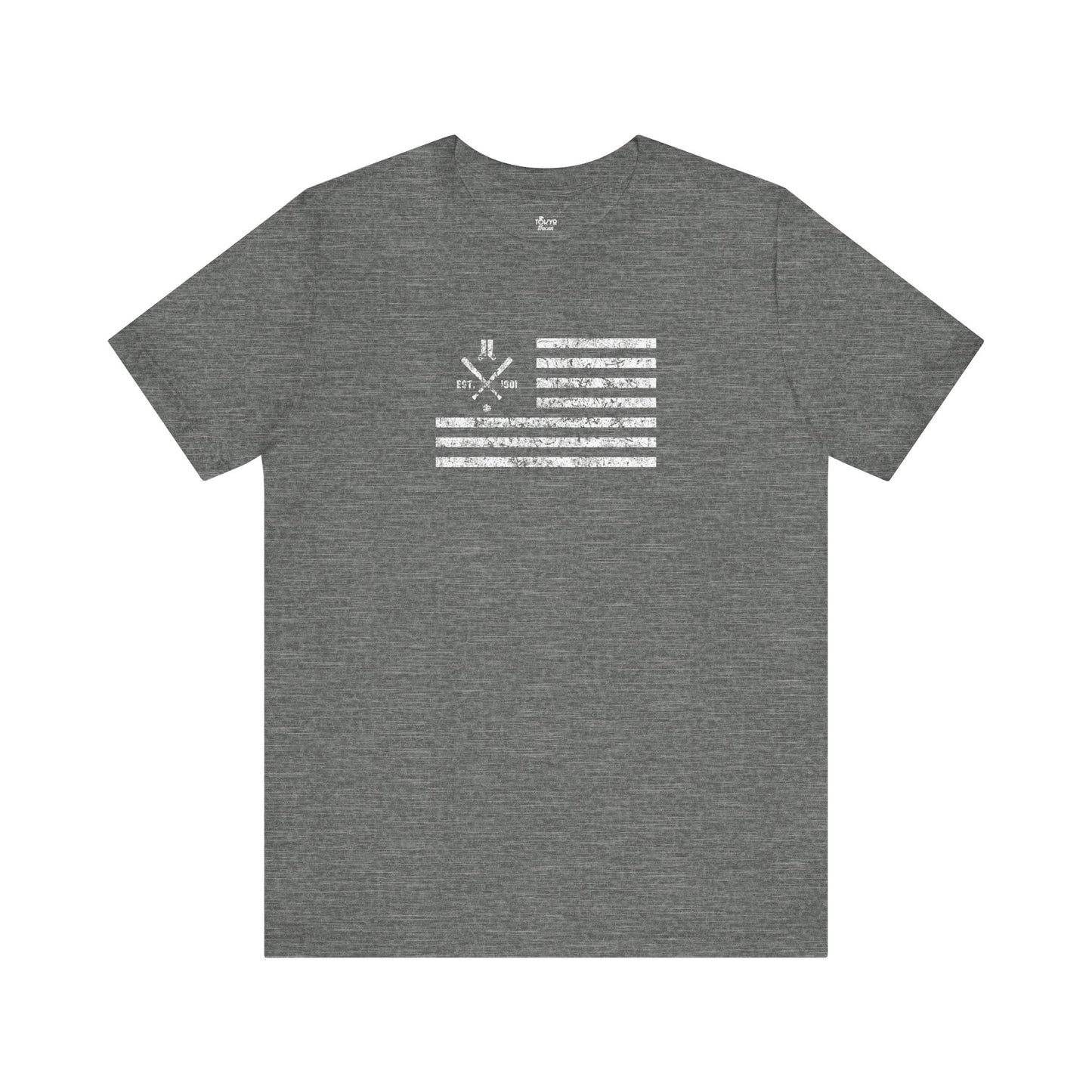 Boston Baseball Fan | US Flag