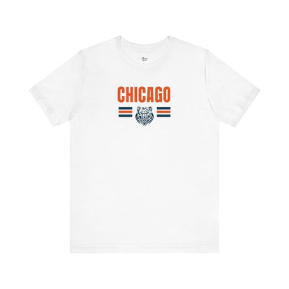 Chicago Football Fan | BearBall