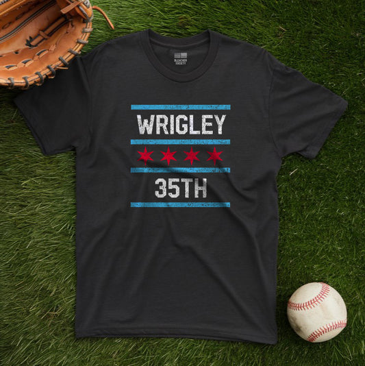 Chicago Baseball Fan | Metro Game | Unisex Tshirt