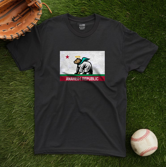 Anaheim Baseball Fan | Cool Flag