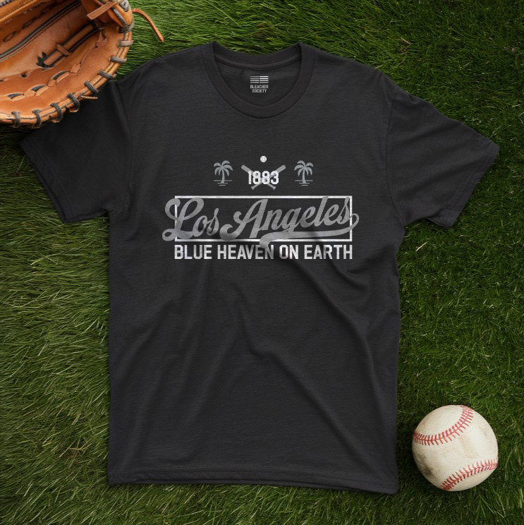 LA Baseball Fan | Los Angeles Blue Heaven