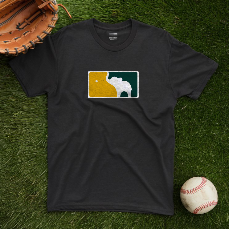 A Baseball Fan | I just love this game | Elephant