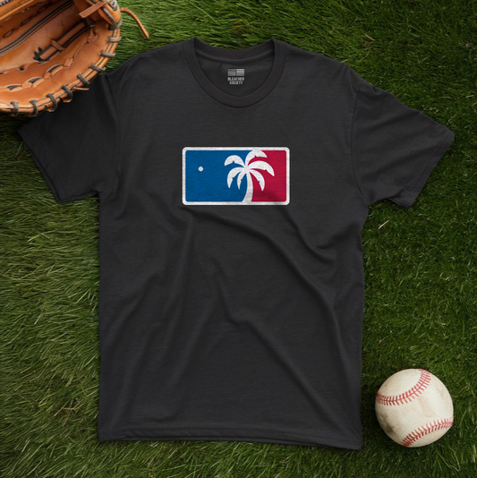 LA Baseball Fan | I just love this game | Palm